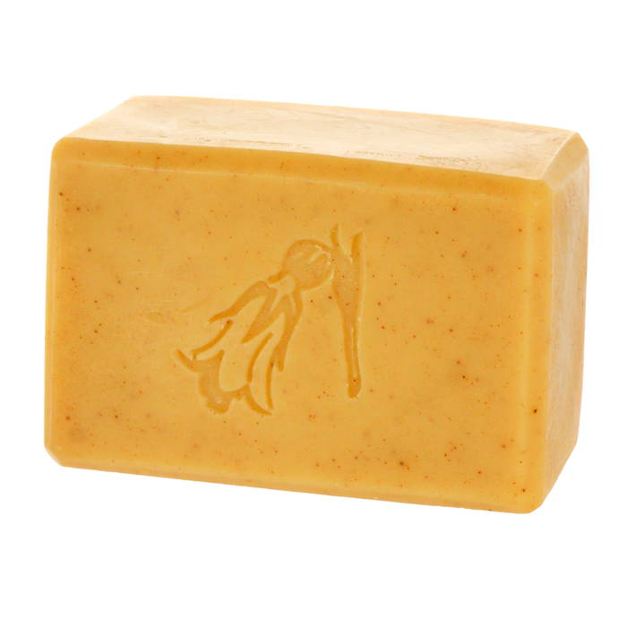 Soap & Shampoo Bar Lemongrass, 110 g - Nea of Sweden