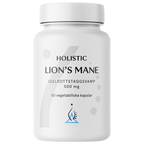 Holistic Lions Mane, 60 cápsulas - Holistic