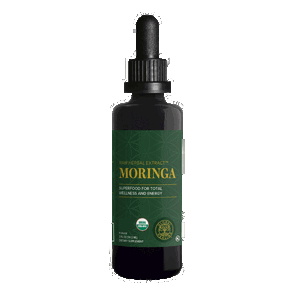 Moringa Extrakt, 59ml - Global Healing