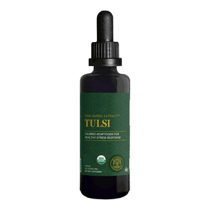 Tulsi / Helig Basilika Extrakt, 59ml - Global Healing