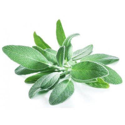 Crearome - Sage Water Organic, 100 ml - Crearome