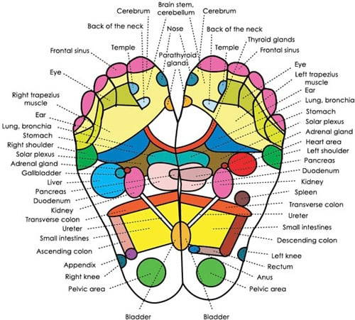 Global Healing Center Foot Pads - Global Healing