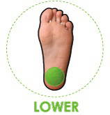 Global Healing Center Foot Pads - Global Healing